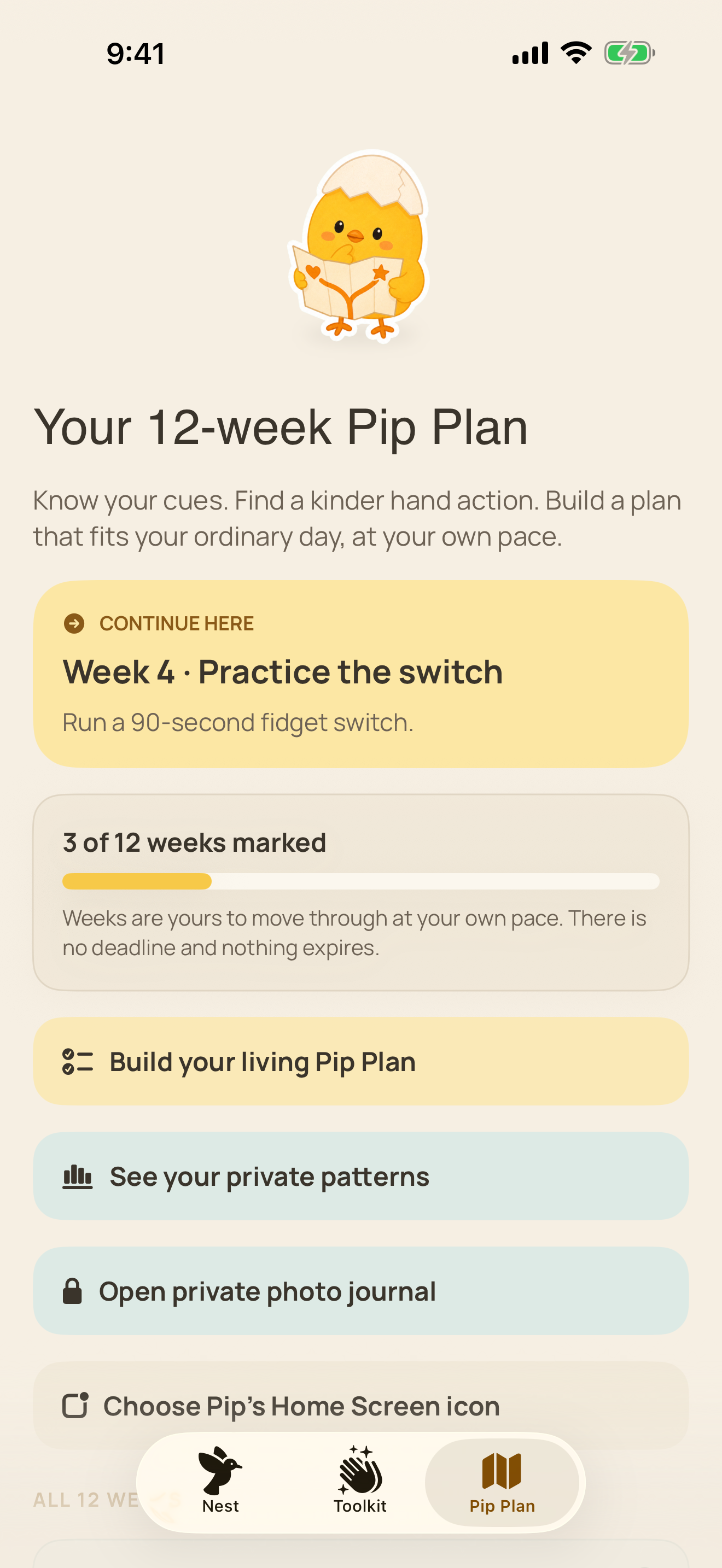 Actual Pipping Pip Plan screen