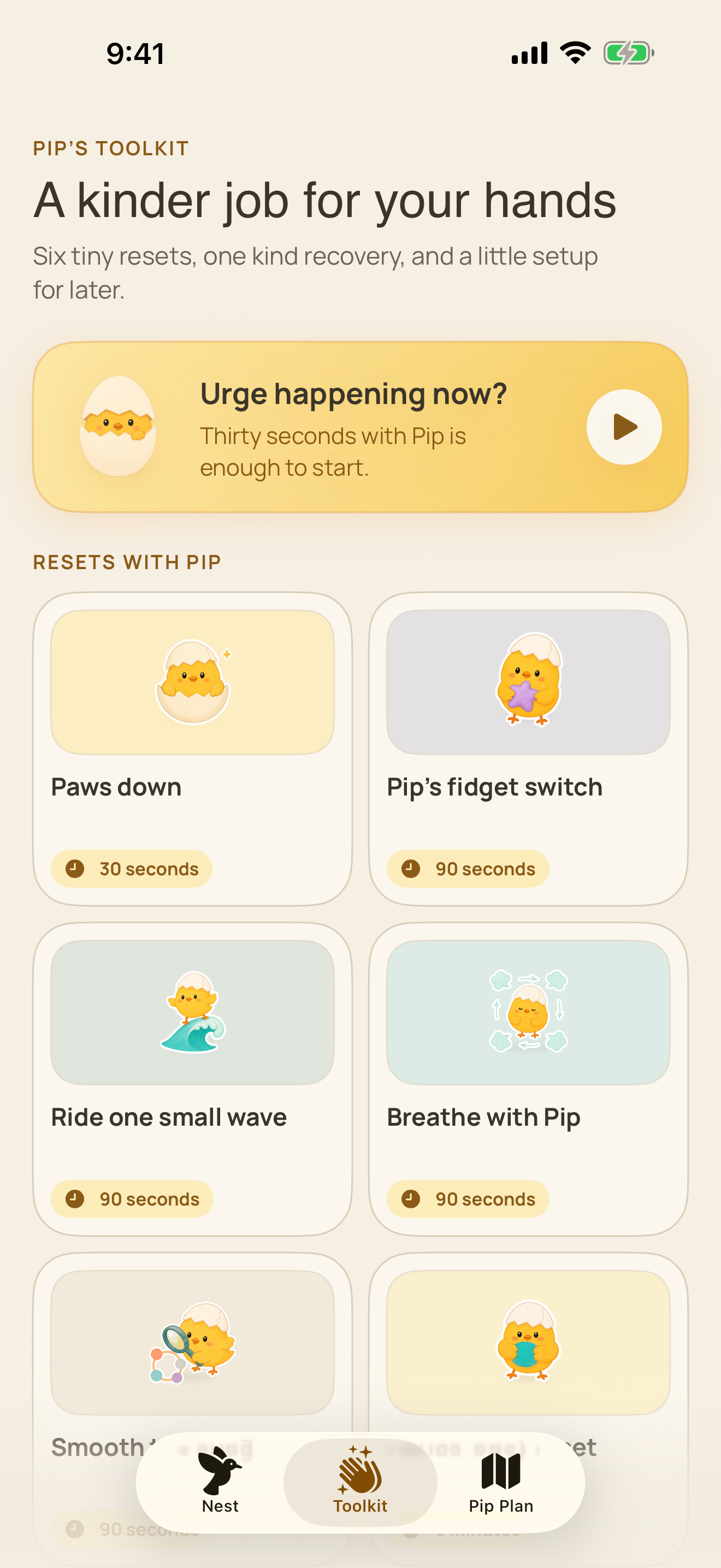 Actual Pipping Toolkit screen